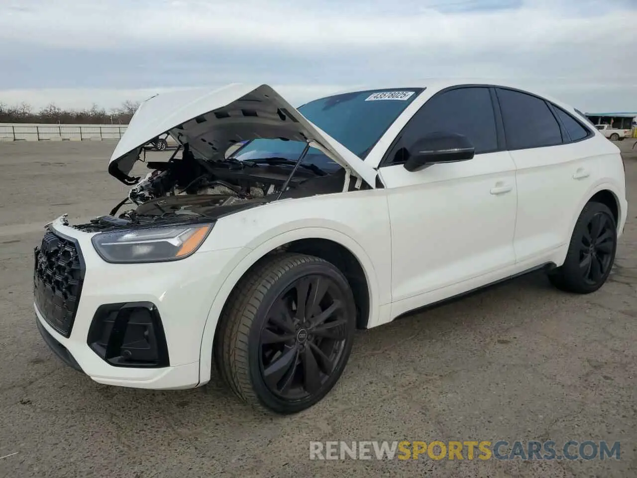 1 fotografías del automóvil dañado WA124AFY1P2038636 AUDI SQ5 SPORTB 2023
