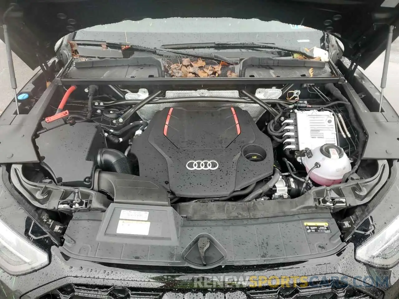 12 fotografías del automóvil dañado WA124AFY8S2010468 AUDI SQ5 SPORTB 2025