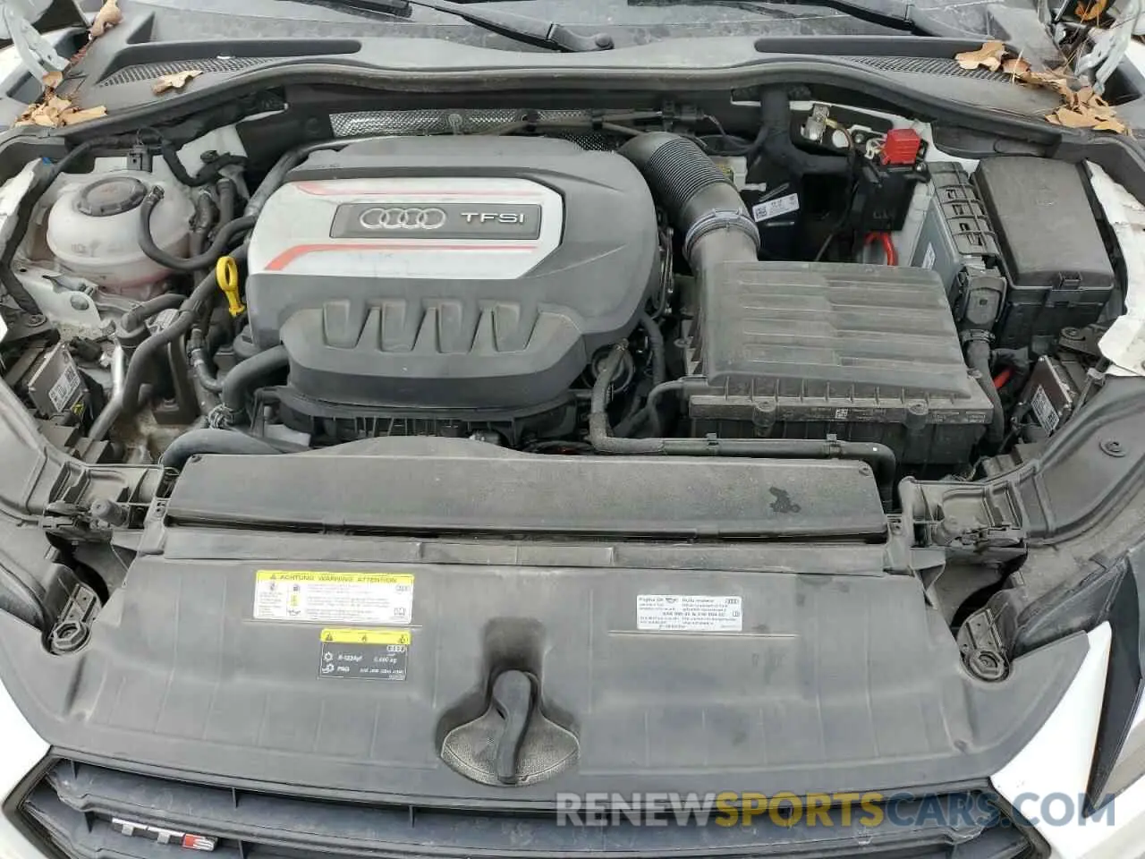 11 fotografías del automóvil dañado TRUA1AFV8K1011258 AUDI TTS 2019