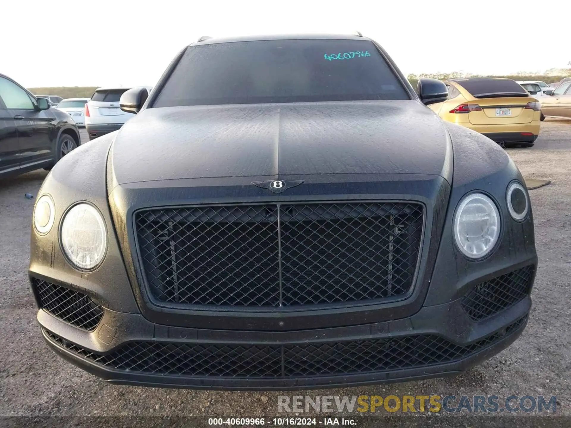 12 fotografías del automóvil dañado SJAAM2ZV5KC024025 BENTLEY BENTAYGA 2019