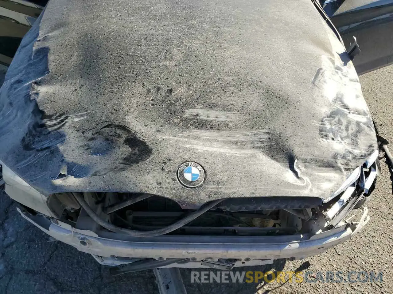 11 fotografías del automóvil dañado WBA13BJ00MWX11428 BMW 5 SERIES 2021
