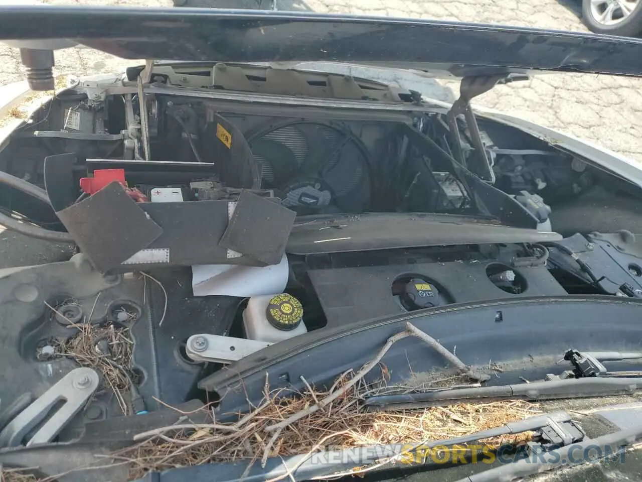 11 fotografías del automóvil dañado WBY2Z6C57KVG98025 BMW I SERIES 2019
