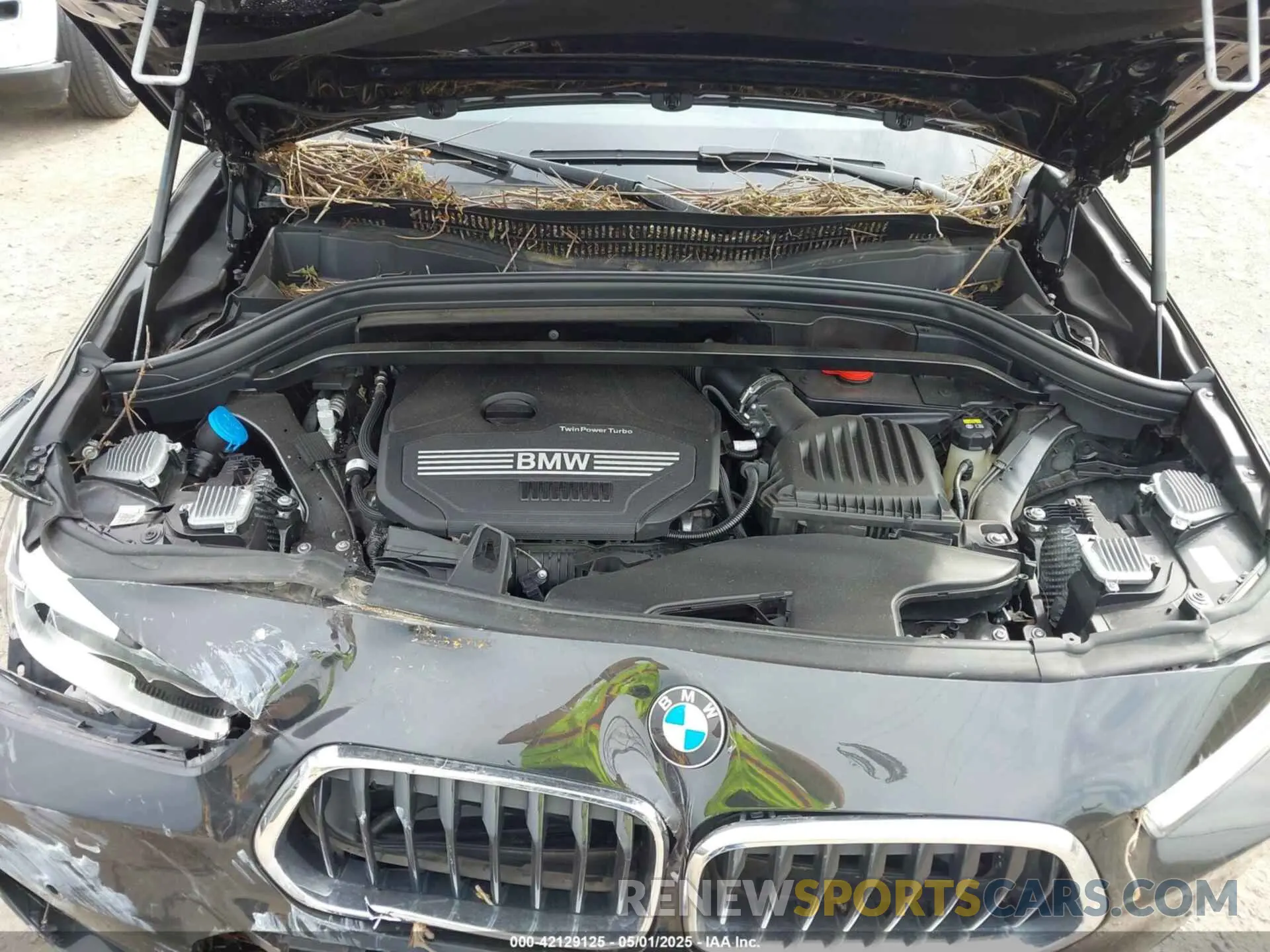 10 fotografías del automóvil dañado WBXYJ1C02N5T58490 BMW X2 2022