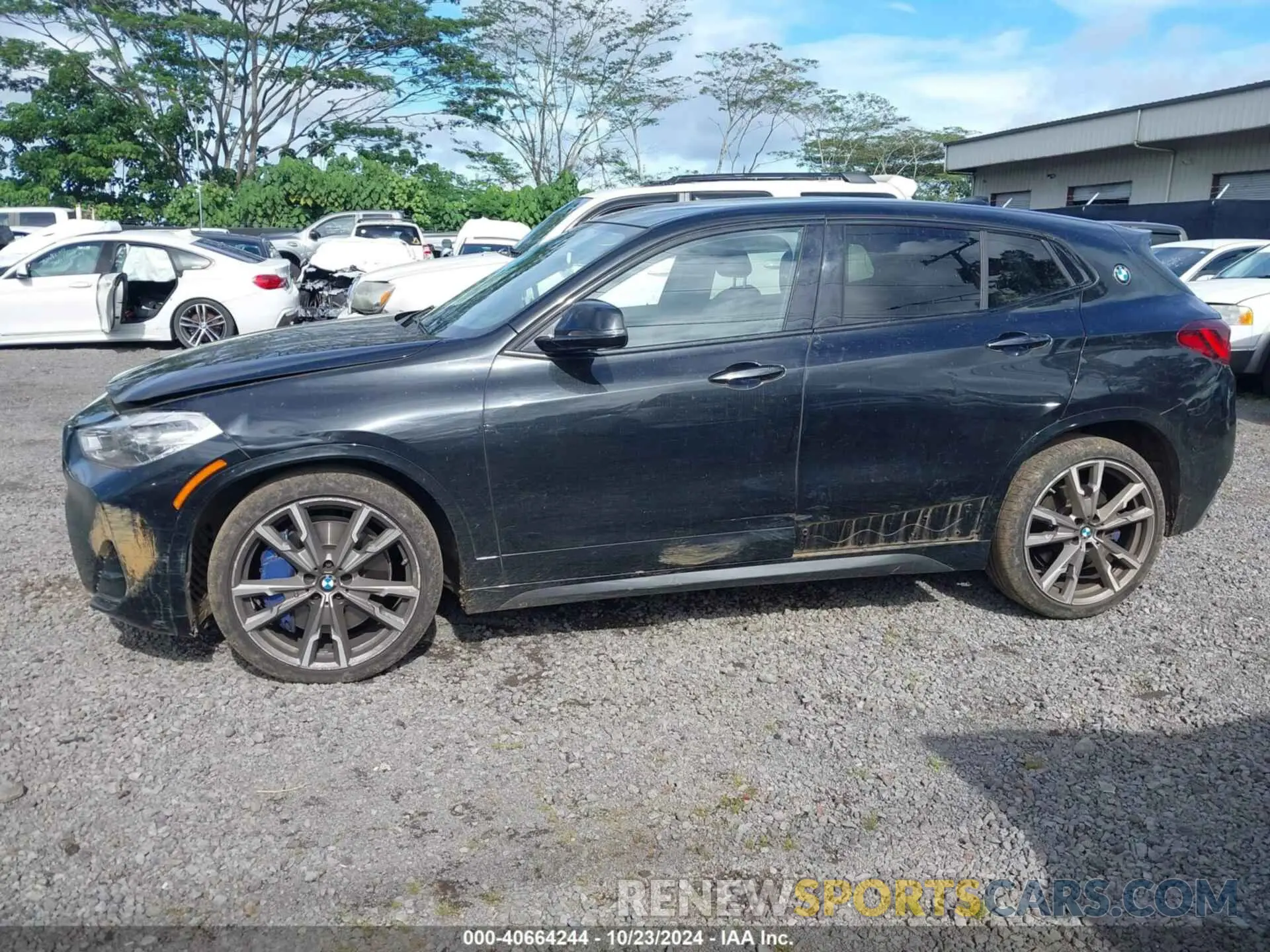 14 fotografías del automóvil dañado WBXYN1C00N5U72976 BMW X2 2022