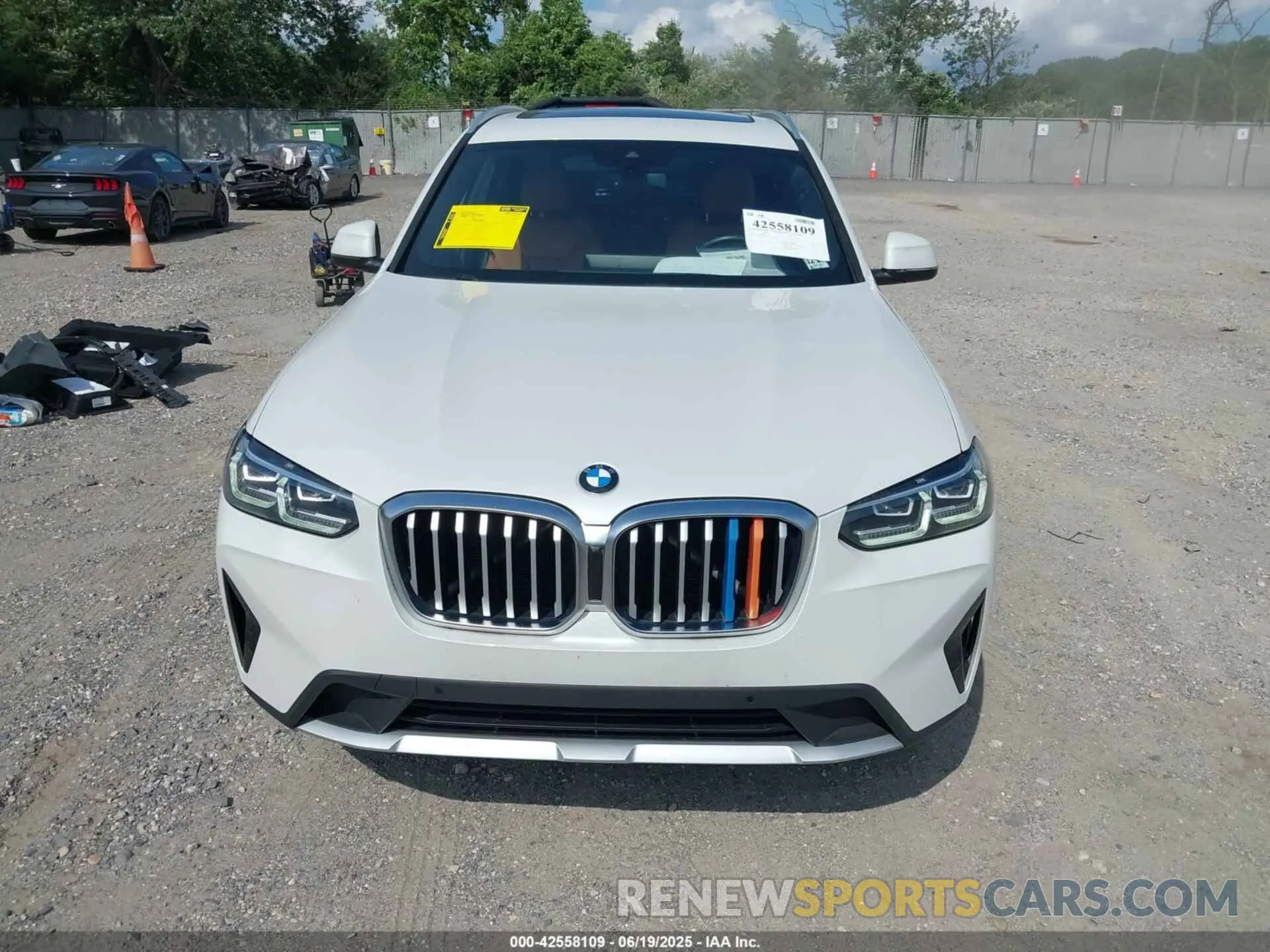 12 fotografías del automóvil dañado 5UX53DP09N9H43593 BMW X3 2022