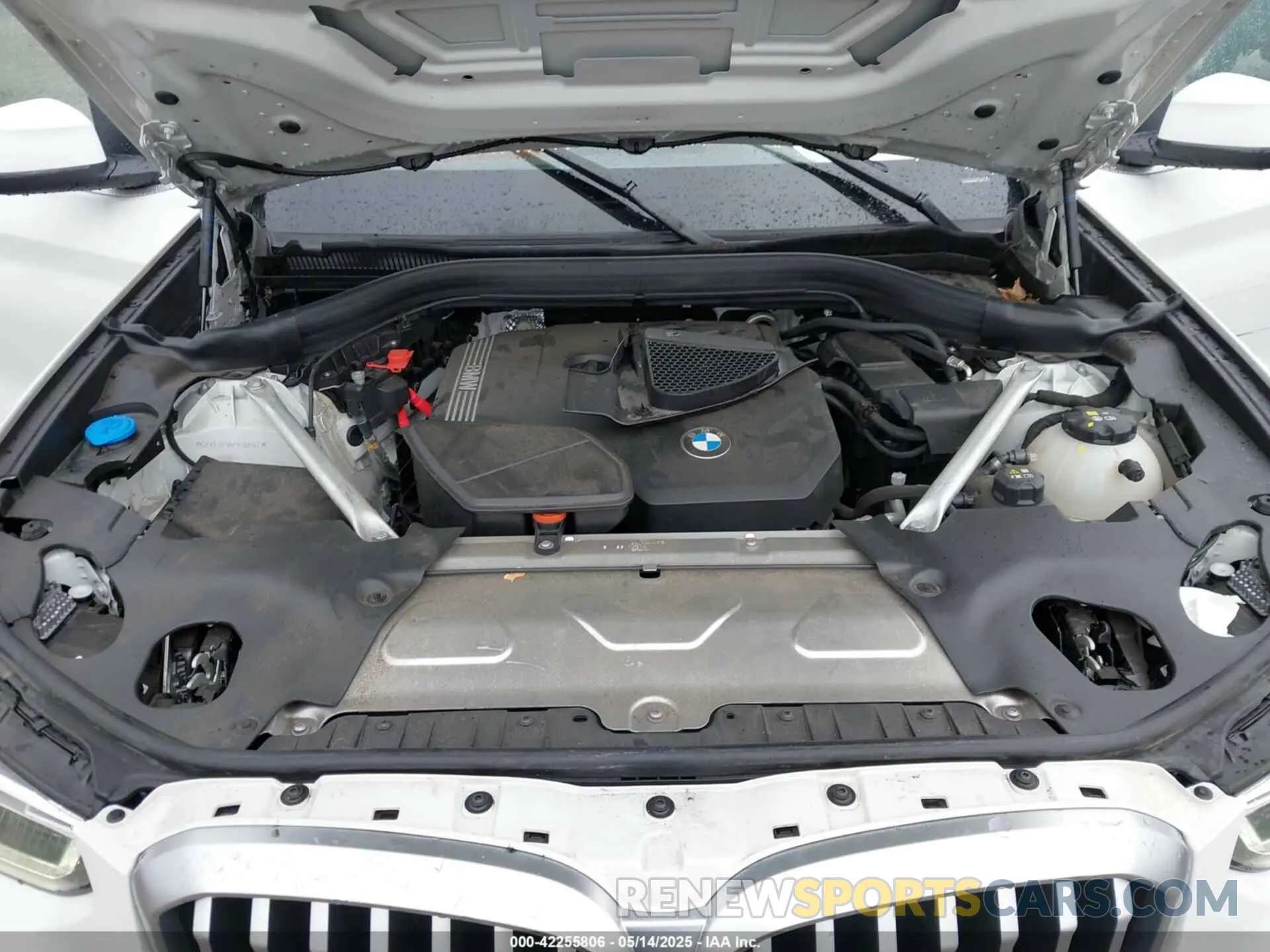 10 fotografías del automóvil dañado 5UX53DP06P9S88542 BMW X3 2023