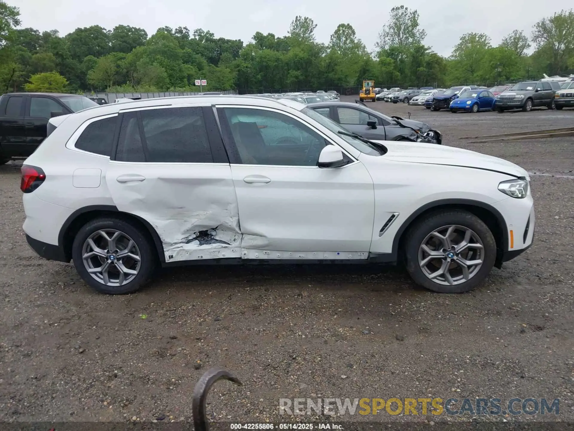 12 fotografías del automóvil dañado 5UX53DP06P9S88542 BMW X3 2023