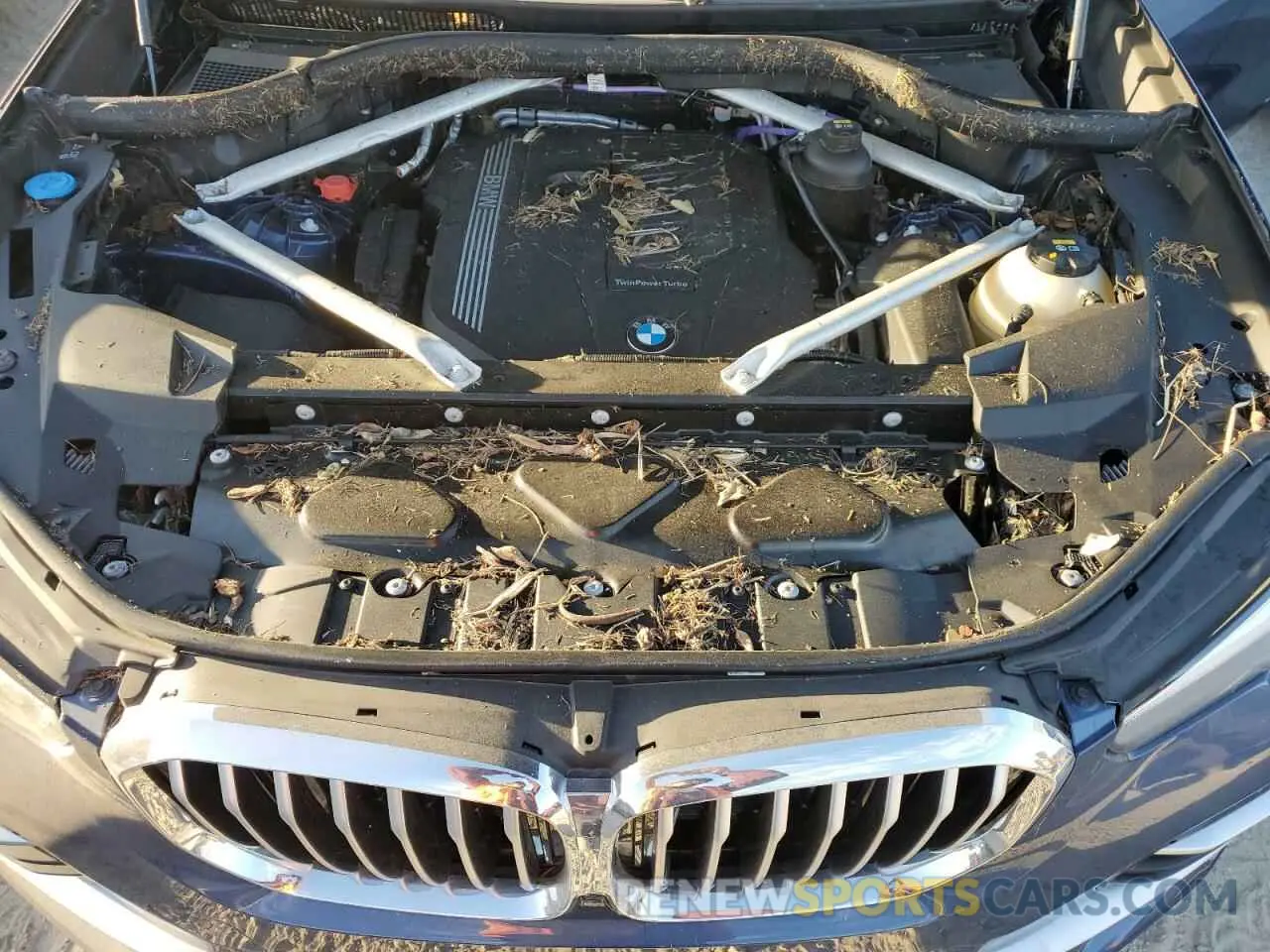 12 fotografías del automóvil dañado 5UXCR4C0XP9N87916 BMW X5 2023