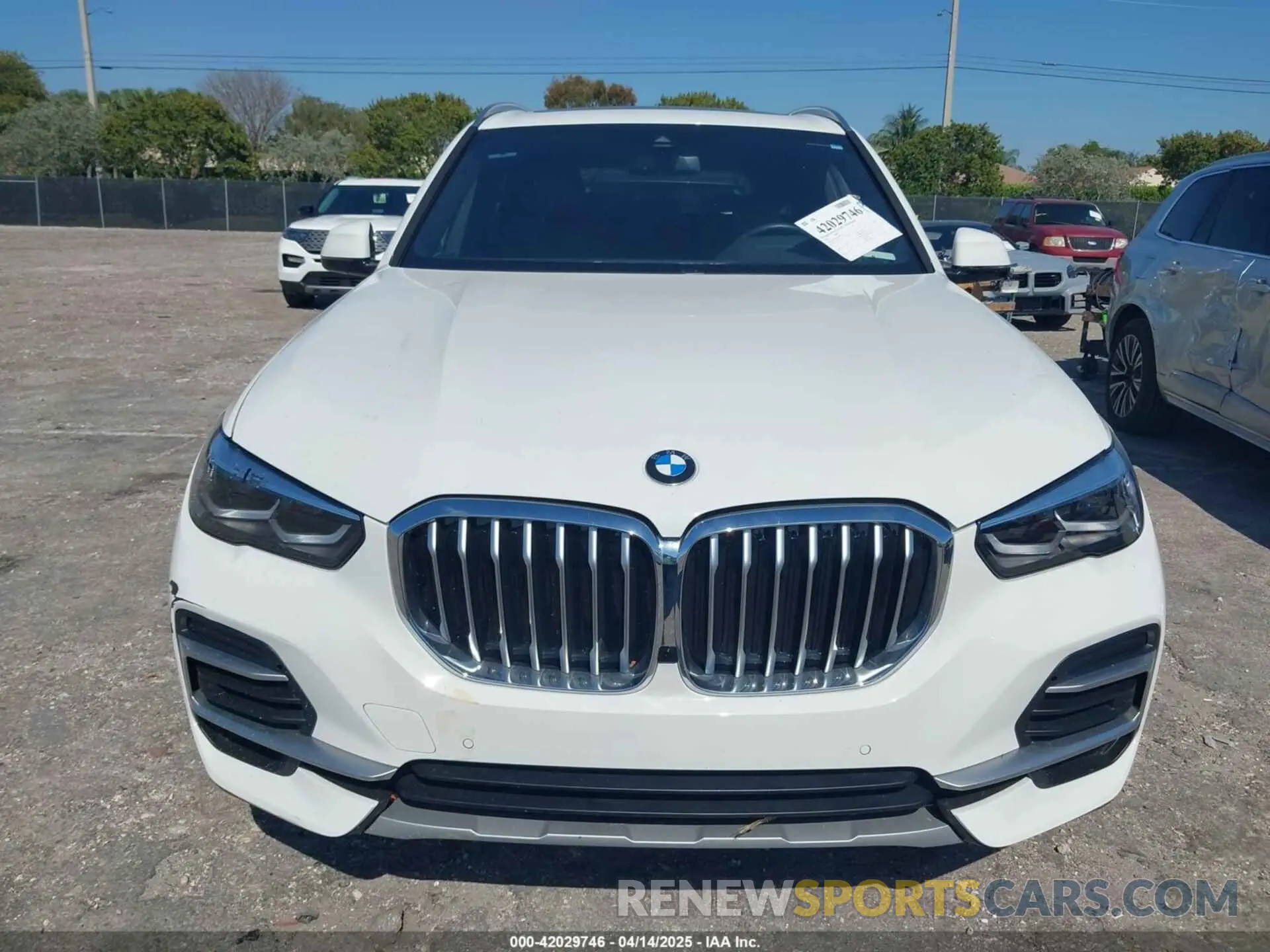 12 fotografías del automóvil dañado 5UXCR4C0XP9R67239 BMW X5 2023