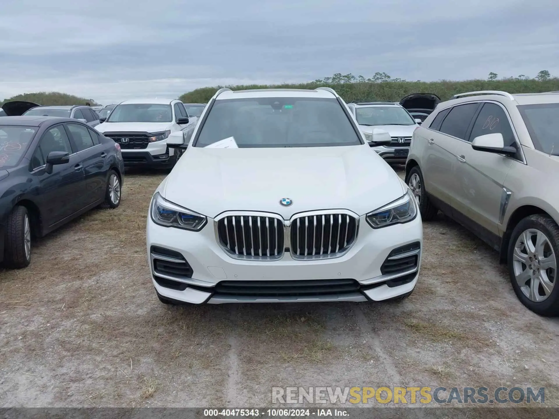 12 fotografías del automóvil dañado 5UXCR6C05P9P63105 BMW X5 2023