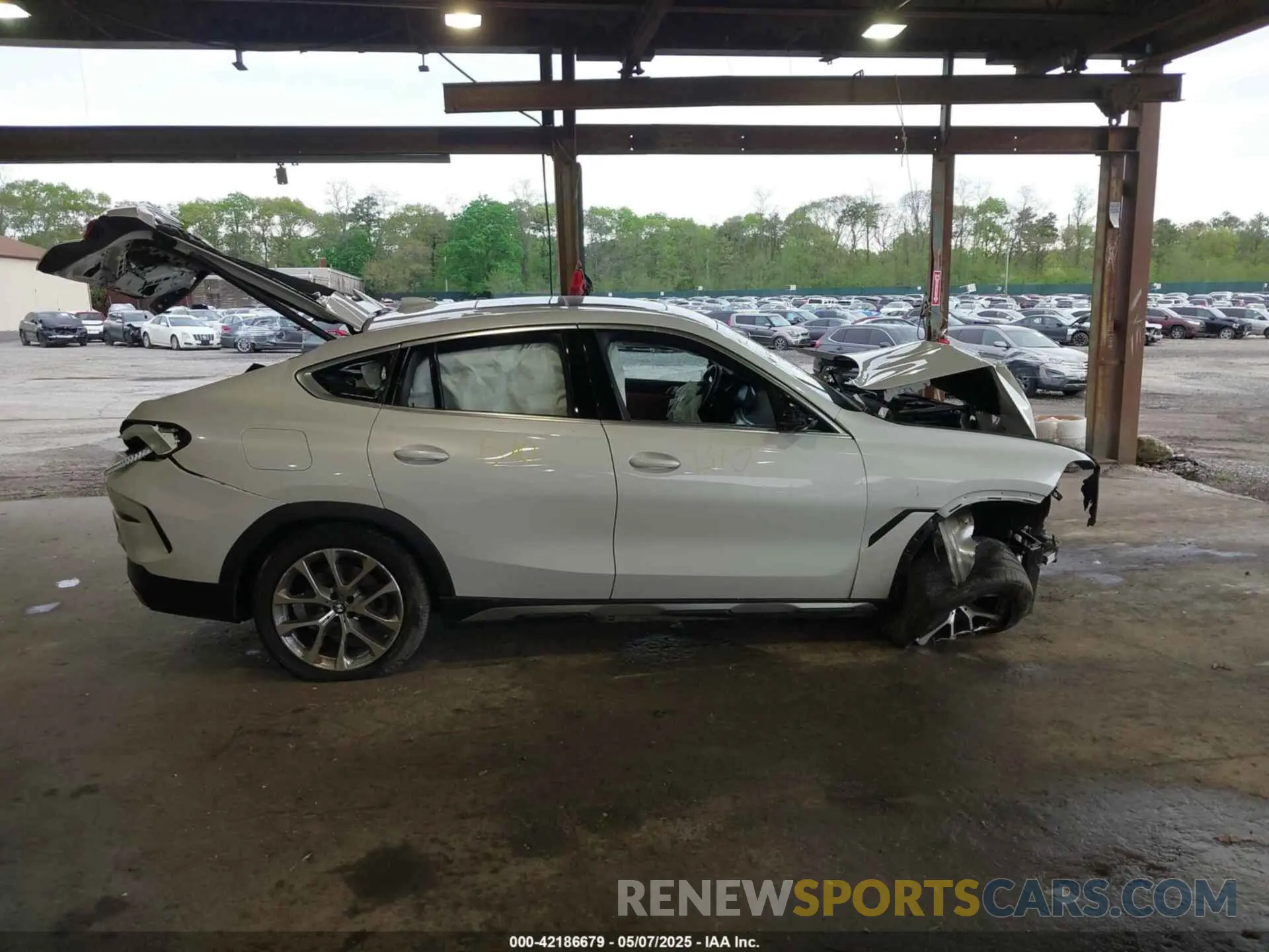 12 fotografías del automóvil dañado 5UXCY6C09P9N62584 BMW X6 2023