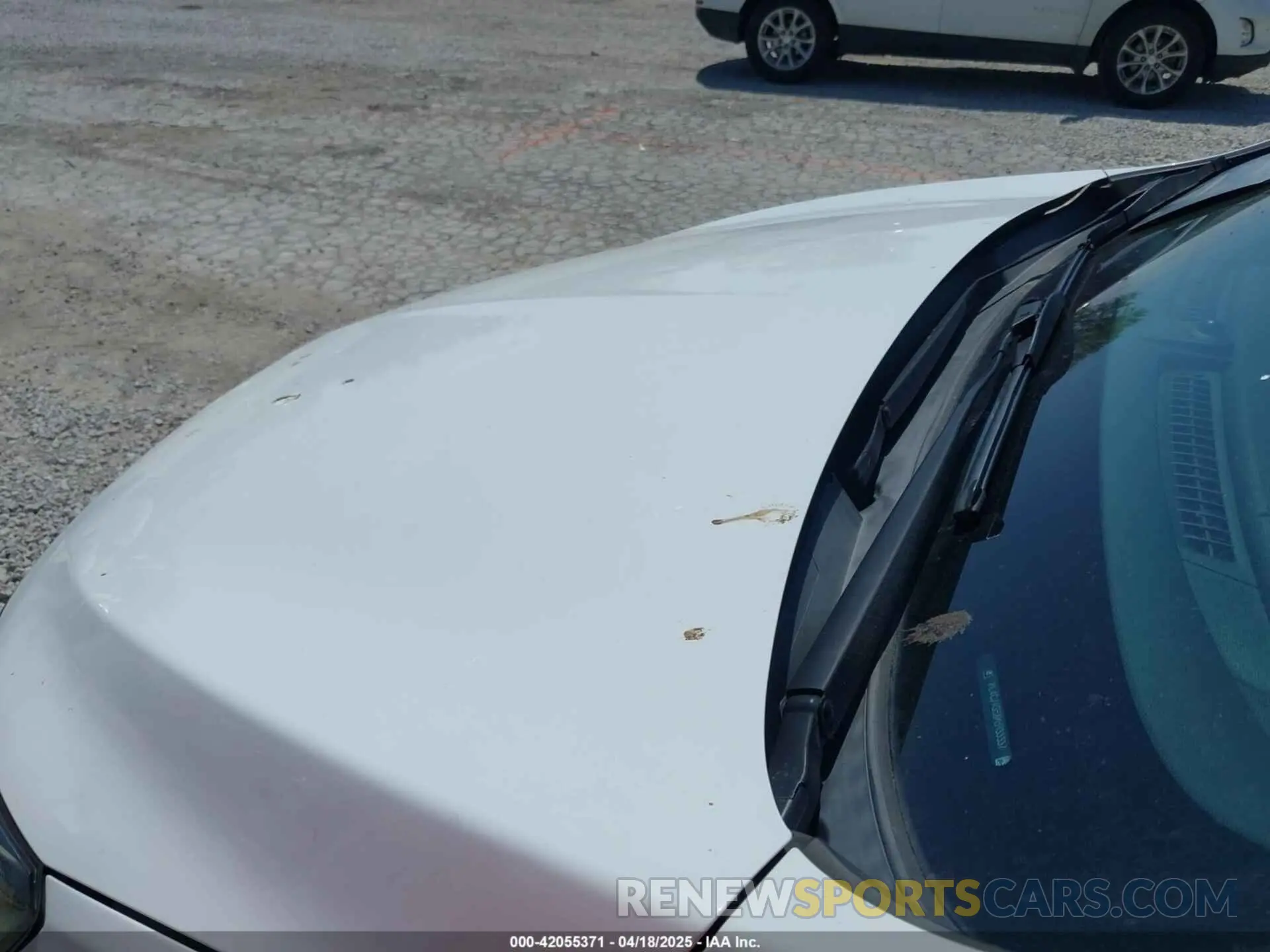 6 fotografías del automóvil dañado KL4CJASB8KB933337 BUICK ENCORE 2019