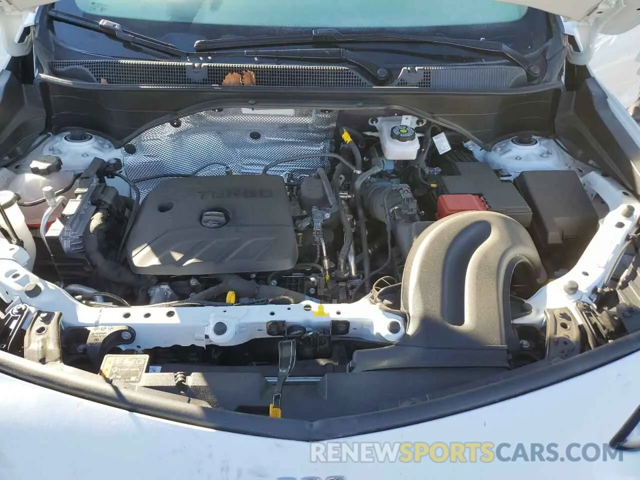 12 fotografías del automóvil dañado KL4AMCSL5RB172053 BUICK ENCORE 2024