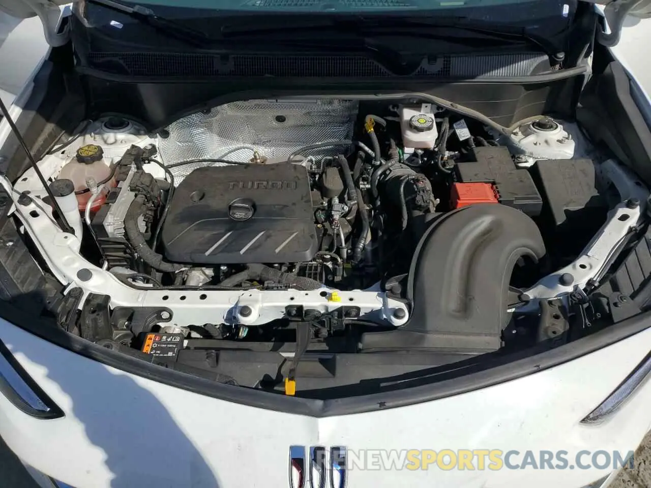 12 fotografías del automóvil dañado KL4AMDSL3RB092787 BUICK ENCORE 2024