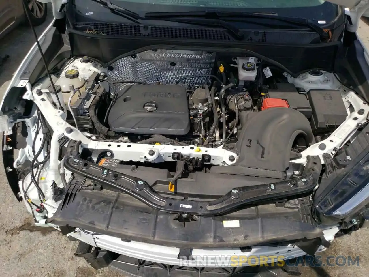 11 fotografías del automóvil dañado KL4AMDSL6RB089625 BUICK ENCORE 2024