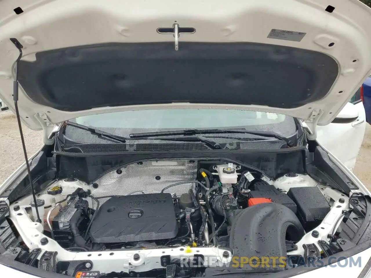 12 fotografías del automóvil dañado KL4AMESL2RB210446 BUICK ENCORE 2024