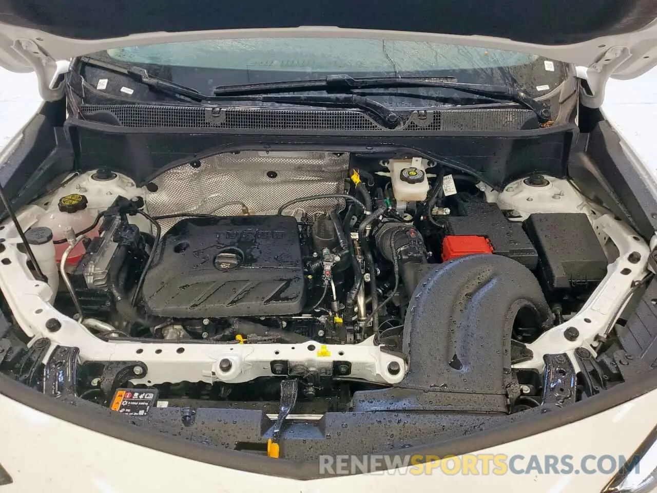 12 fotografías del automóvil dañado KL4AMBSL1SB190520 BUICK ENCORE 2025