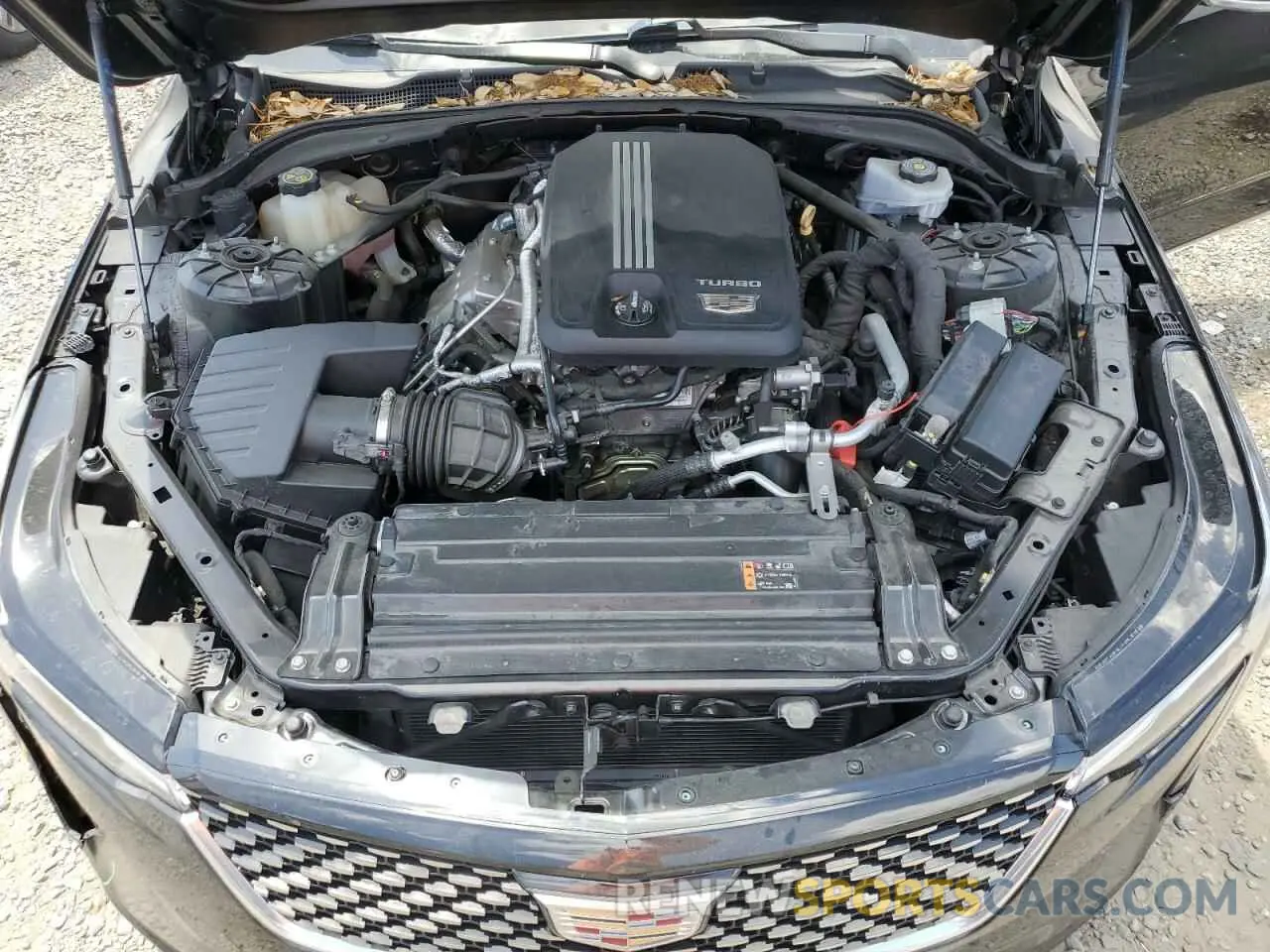 11 fotografías del automóvil dañado 1G6DB5RK5L0143269 CADILLAC CT4 2020