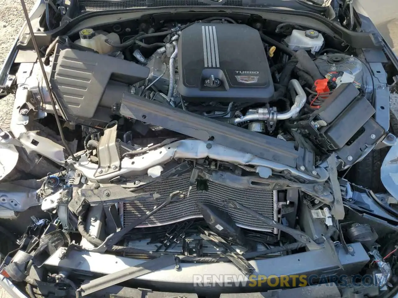 11 fotografías del automóvil dañado 1G6DB5RK6L0118753 CADILLAC CT4 2020