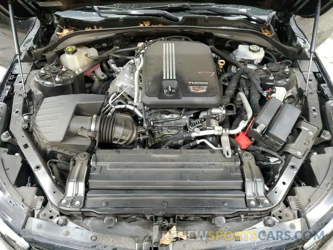 11 fotografías del automóvil dañado 1G6DB5RKXL0130775 CADILLAC CT4 2020