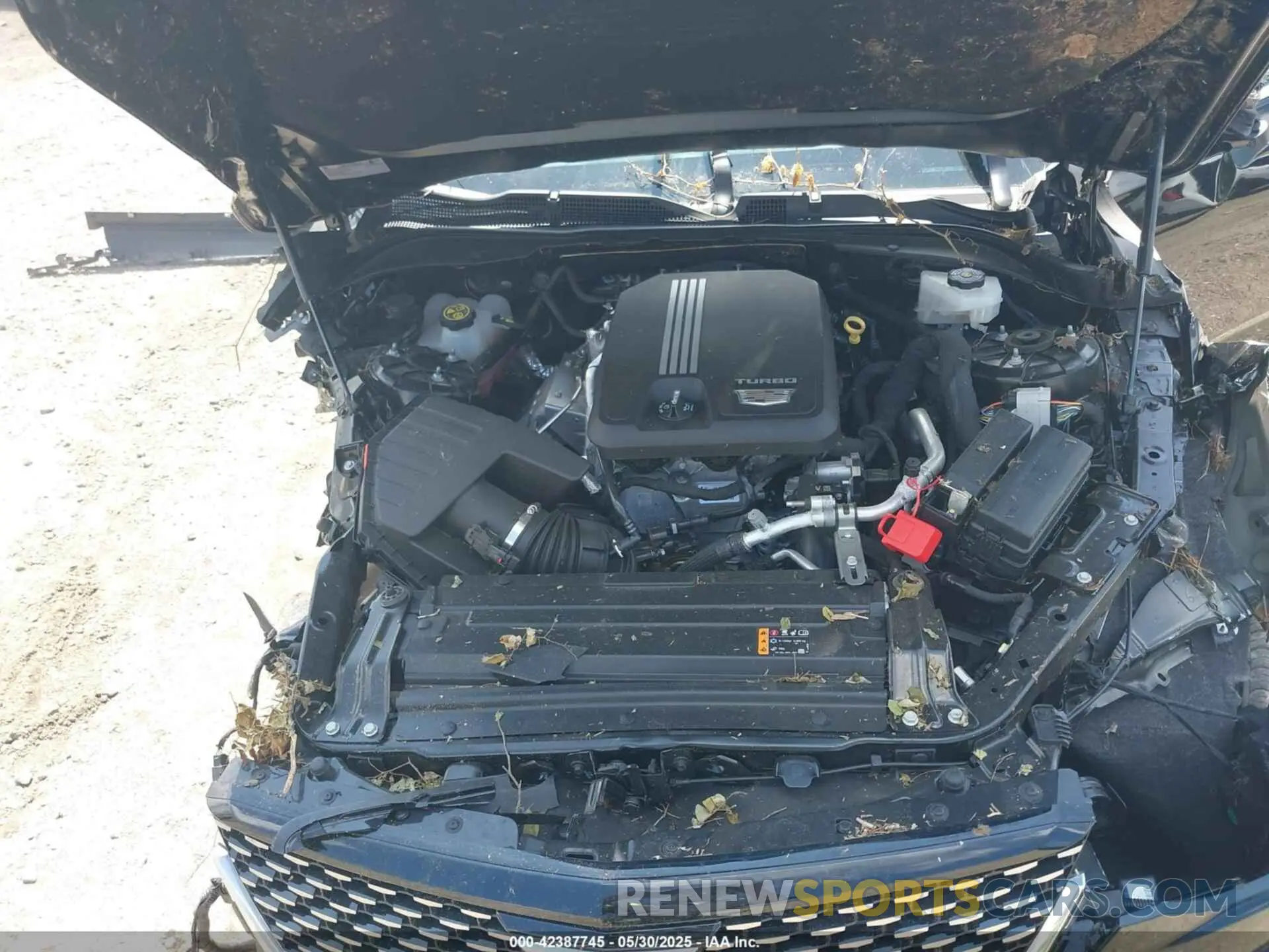 10 fotografías del automóvil dañado 1G6DA5RK1M0115585 CADILLAC CT4 2021