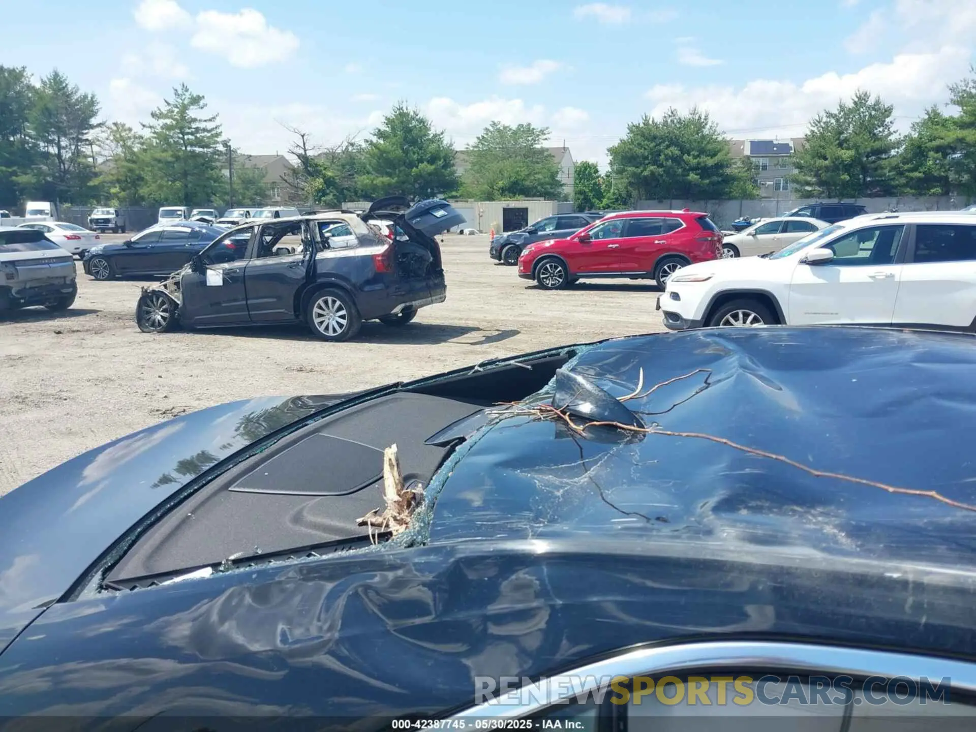 14 fotografías del automóvil dañado 1G6DA5RK1M0115585 CADILLAC CT4 2021
