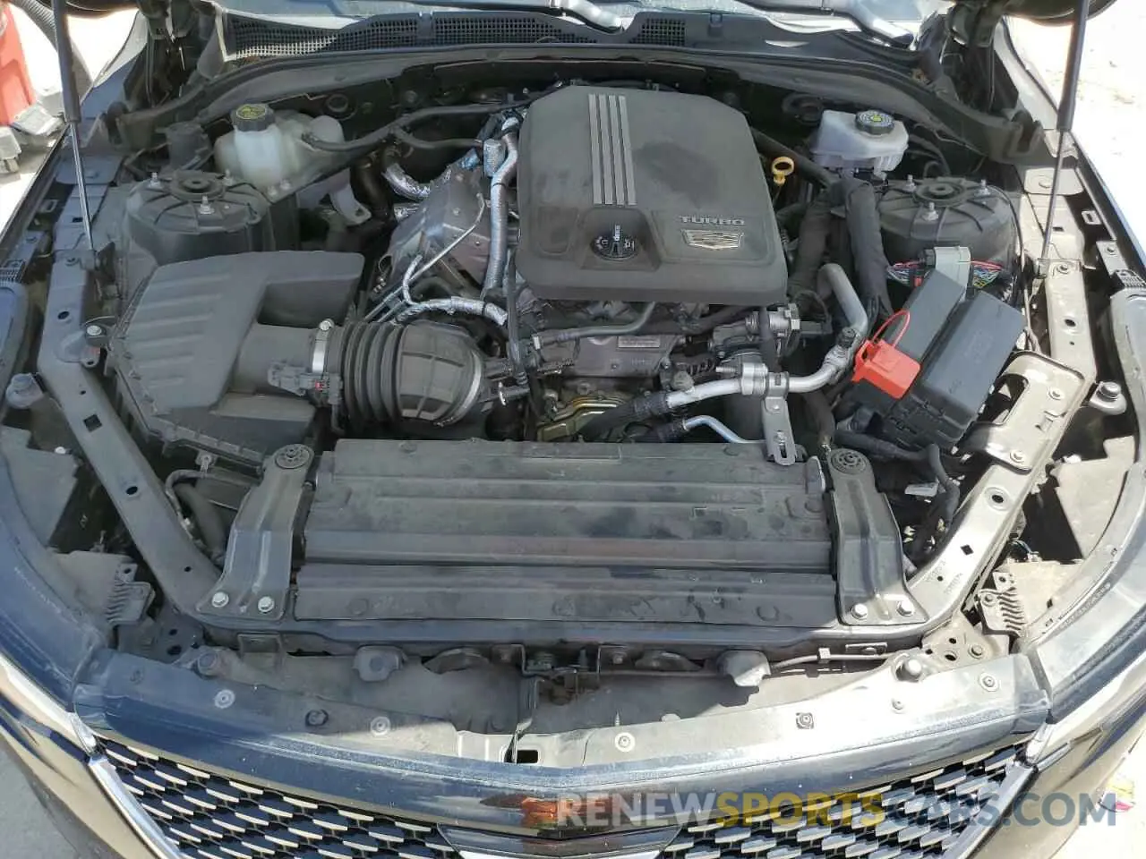 11 fotografías del automóvil dañado 1G6DB5RK6M0113750 CADILLAC CT4 2021