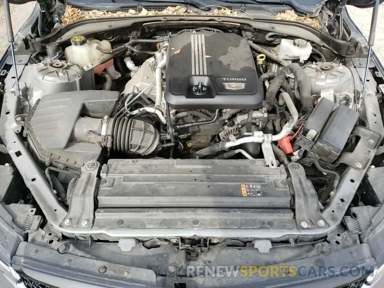 11 fotografías del automóvil dañado 1G6DG5RK5M0105737 CADILLAC CT4 2021