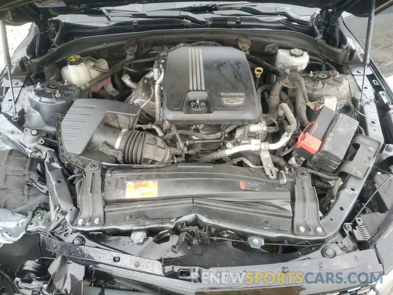 11 fotografías del automóvil dañado 1G6DJ5RK7M0112741 CADILLAC CT4 2021