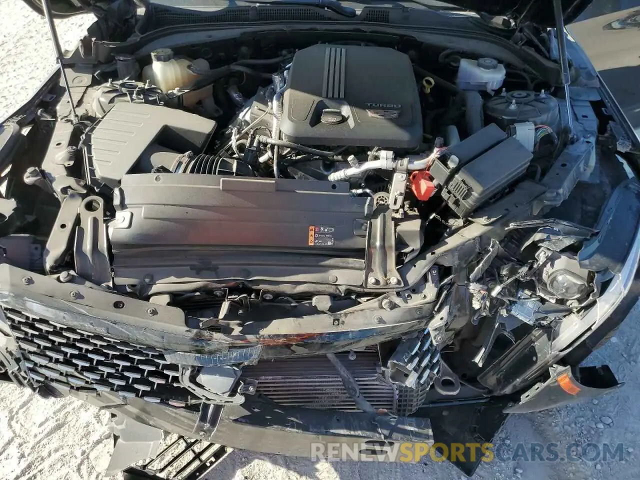 12 fotografías del automóvil dañado 1G6DB5RK3N0121077 CADILLAC CT4 2022