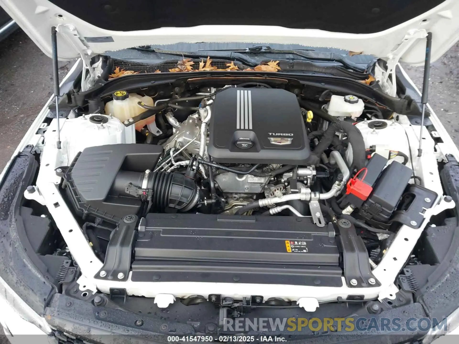 10 fotografías del automóvil dañado 1G6DB5RK4N0114512 CADILLAC CT4 2022