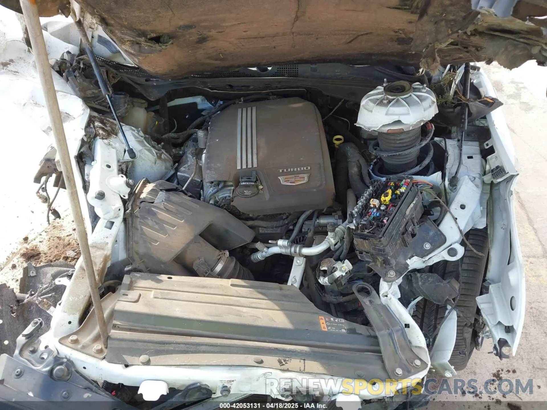 10 fotografías del automóvil dañado 1G6DB5RK5N0107634 CADILLAC CT4 2022