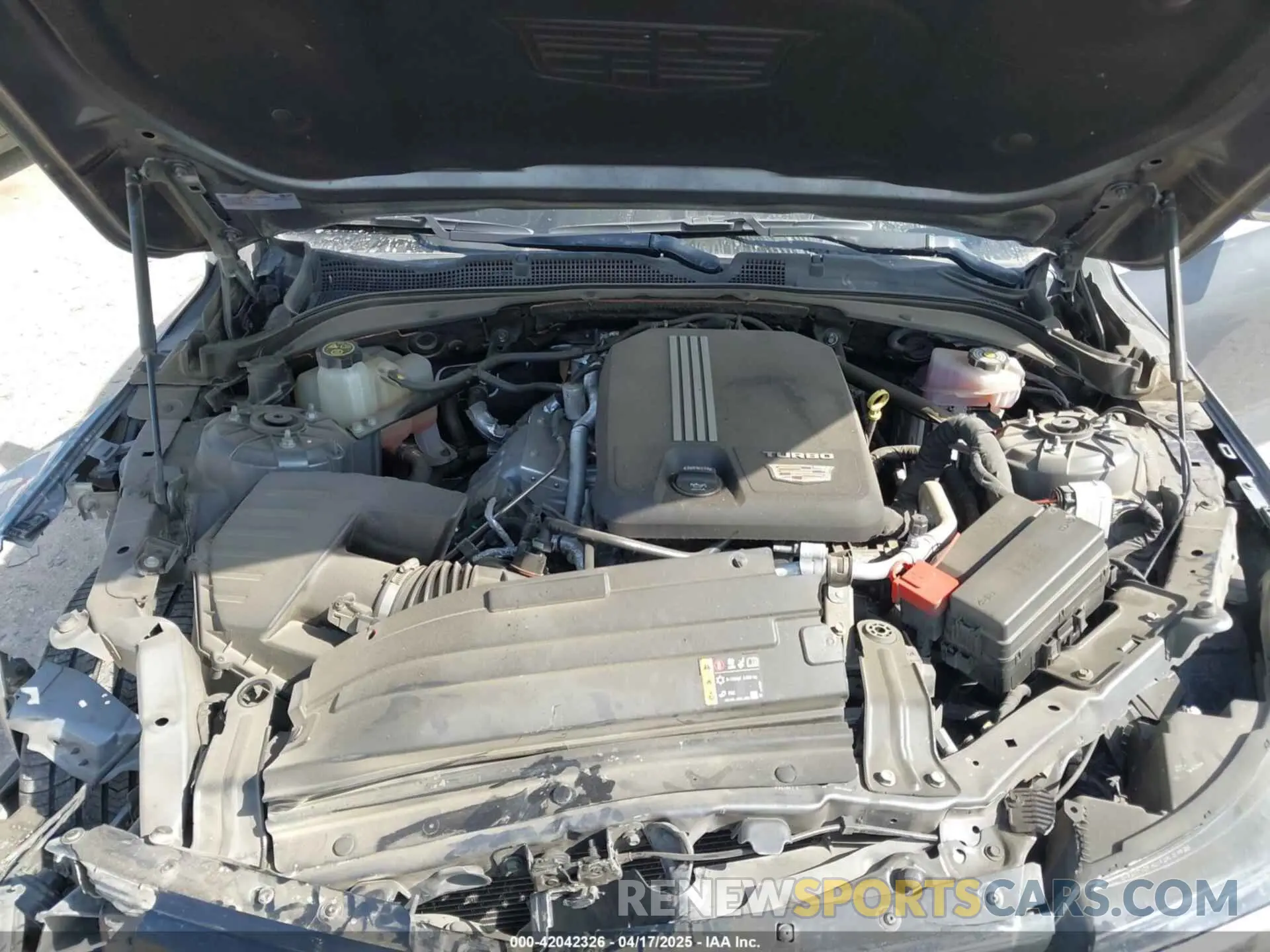 10 fotografías del automóvil dañado 1G6DB5RK6N0118383 CADILLAC CT4 2022