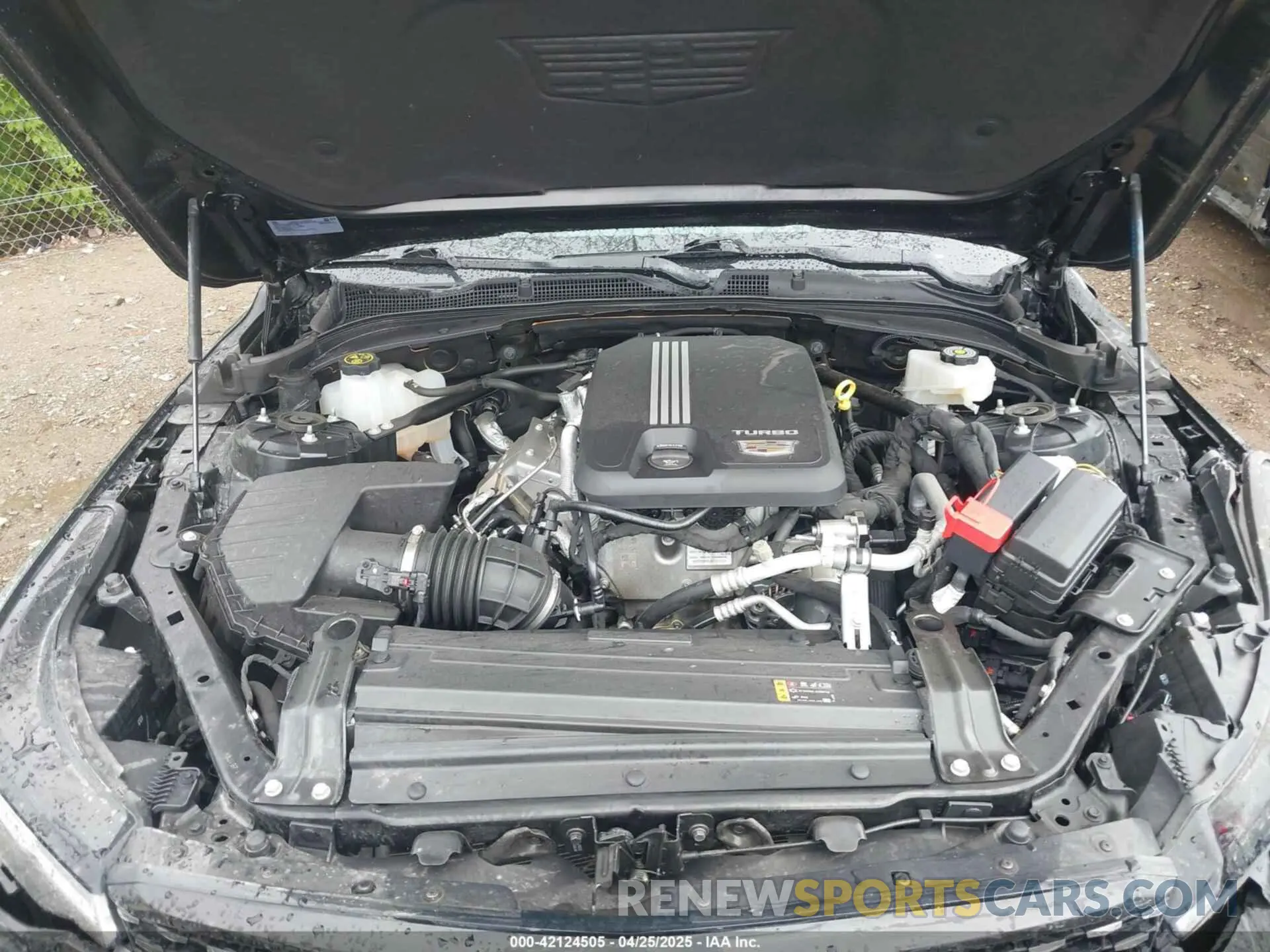 10 fotografías del automóvil dañado 1G6DF5RK5P0109147 CADILLAC CT4 2023