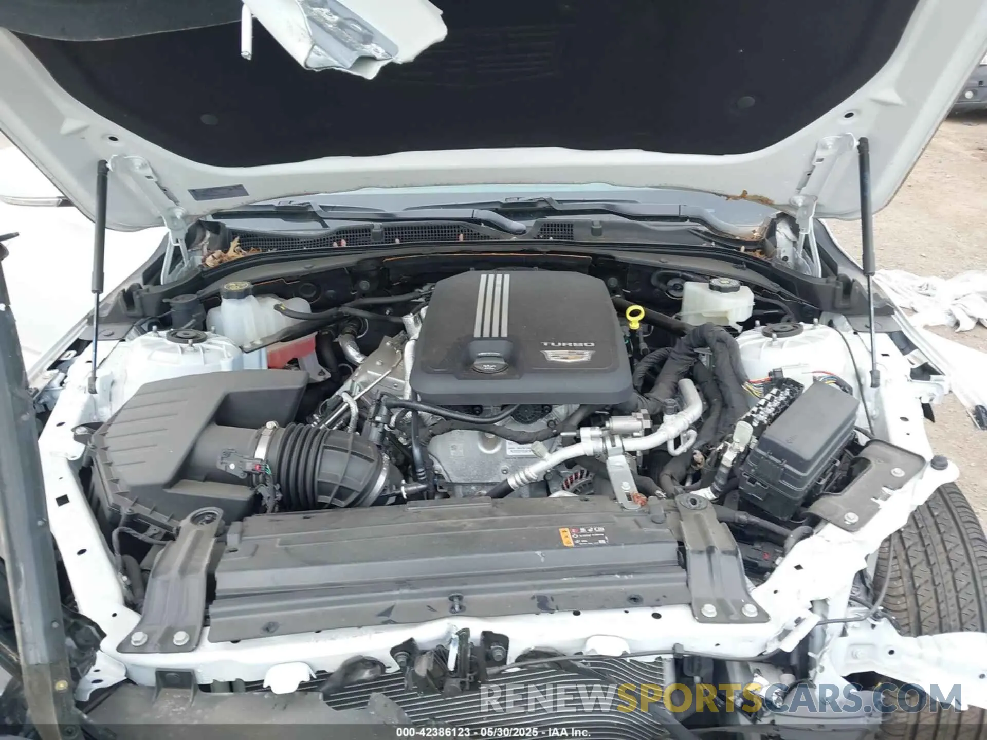 10 fotografías del automóvil dañado 1G6DK5RK2P0108016 CADILLAC CT4 2023