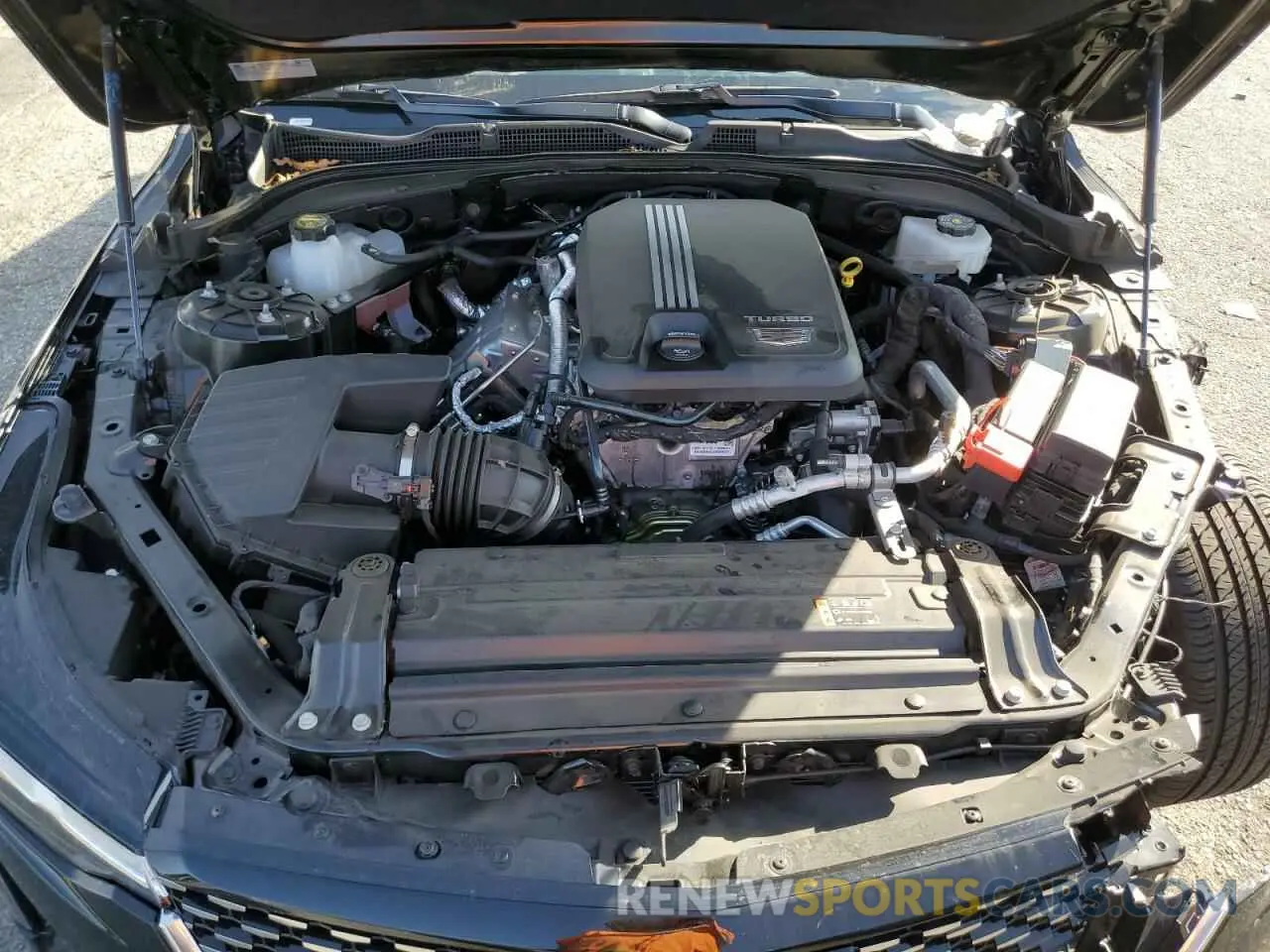 11 fotografías del automóvil dañado 1G6DA5RK0R0128576 CADILLAC CT4 2024