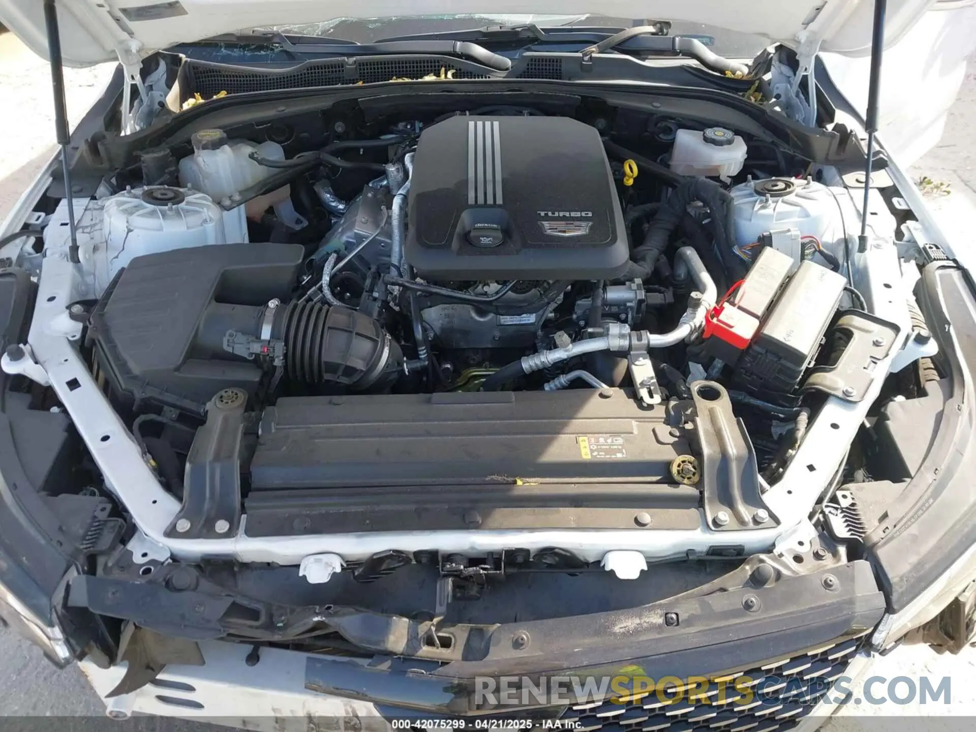10 fotografías del automóvil dañado 1G6DA5RK2R0124982 CADILLAC CT4 2024