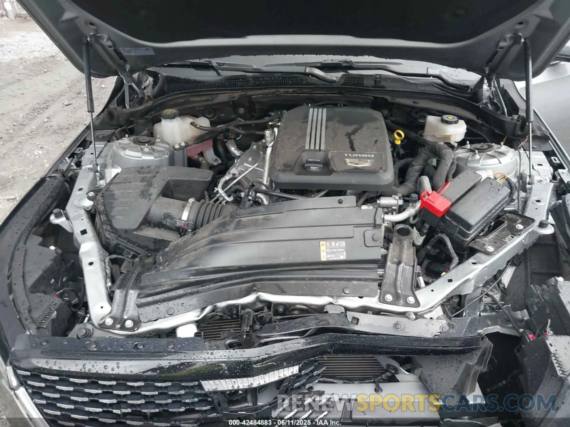 10 fotografías del automóvil dañado 1G6DF5RK9R0116735 CADILLAC CT4 2024