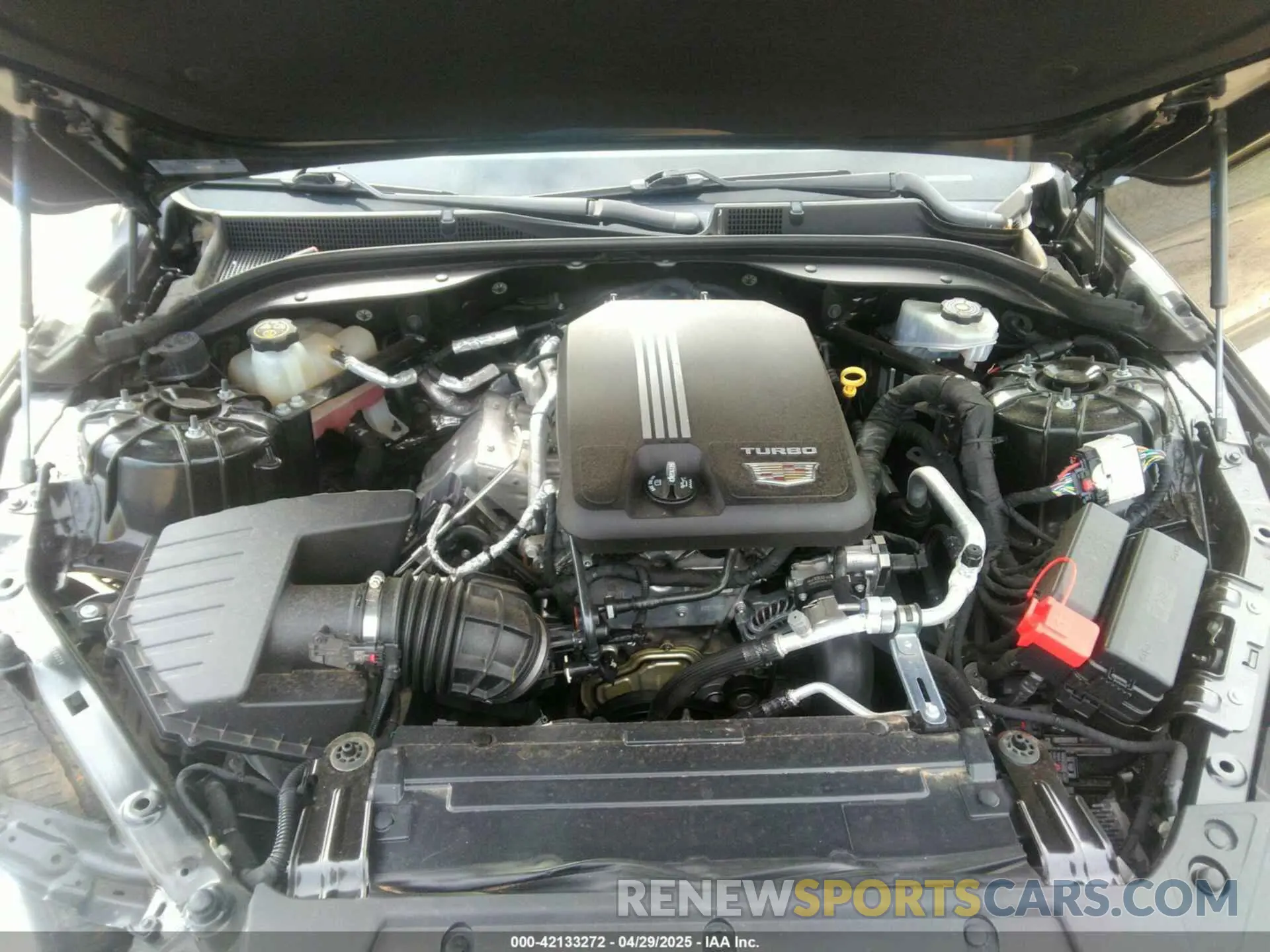 10 fotografías del automóvil dañado 1G6DM5RK4L0100133 CADILLAC CT5 2020