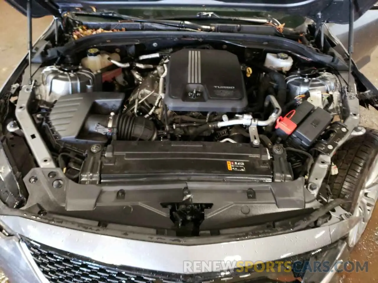11 fotografías del automóvil dañado 1G6DT5RK3L0123972 CADILLAC CT5 2020