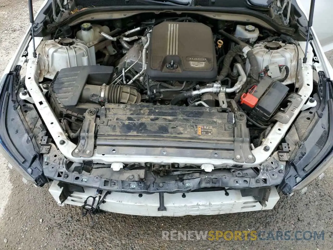 11 fotografías del automóvil dañado 1G6DW5RK7L0151829 CADILLAC CT5 2020