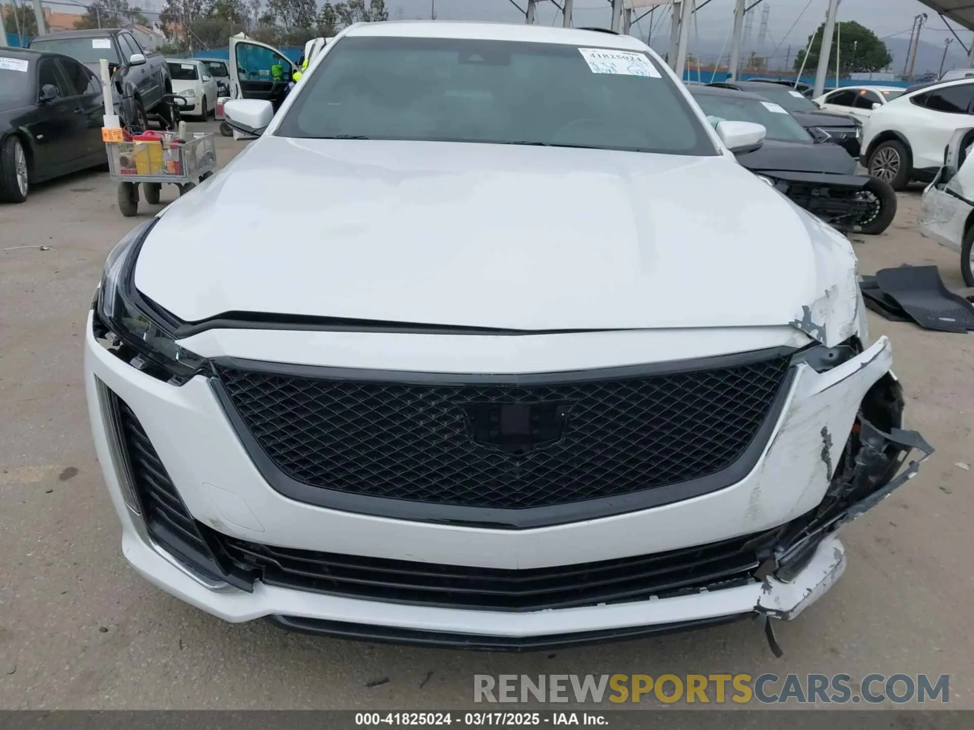 13 fotografías del automóvil dañado 1G6DM5RK6N0136036 CADILLAC CT5 2022