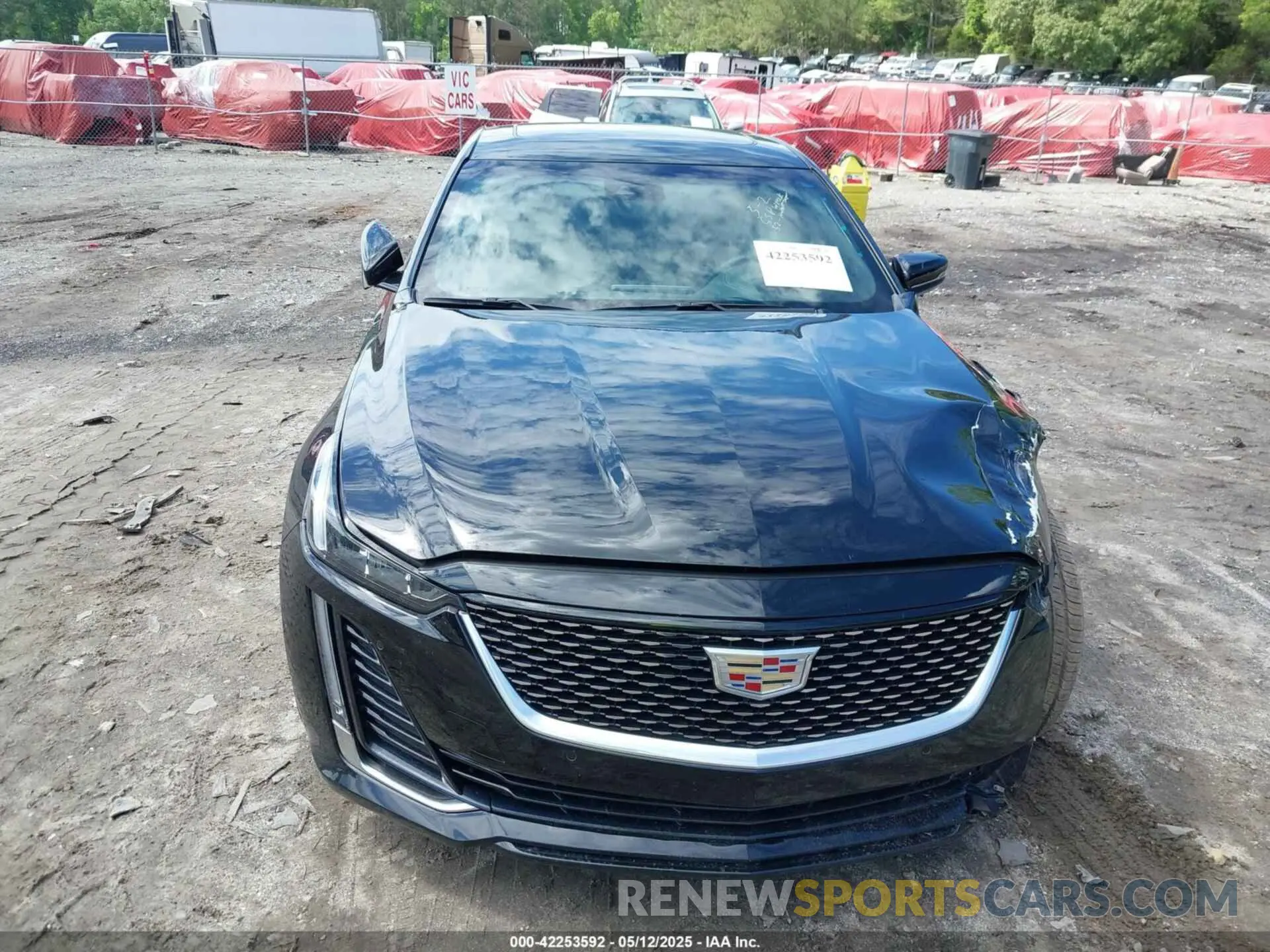 12 fotografías del automóvil dañado 1G6DN5RW4P0105306 CADILLAC CT5 2023