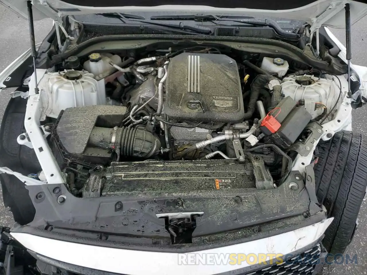 11 fotografías del automóvil dañado 1G6DS5RK4P0142989 CADILLAC CT5 2023