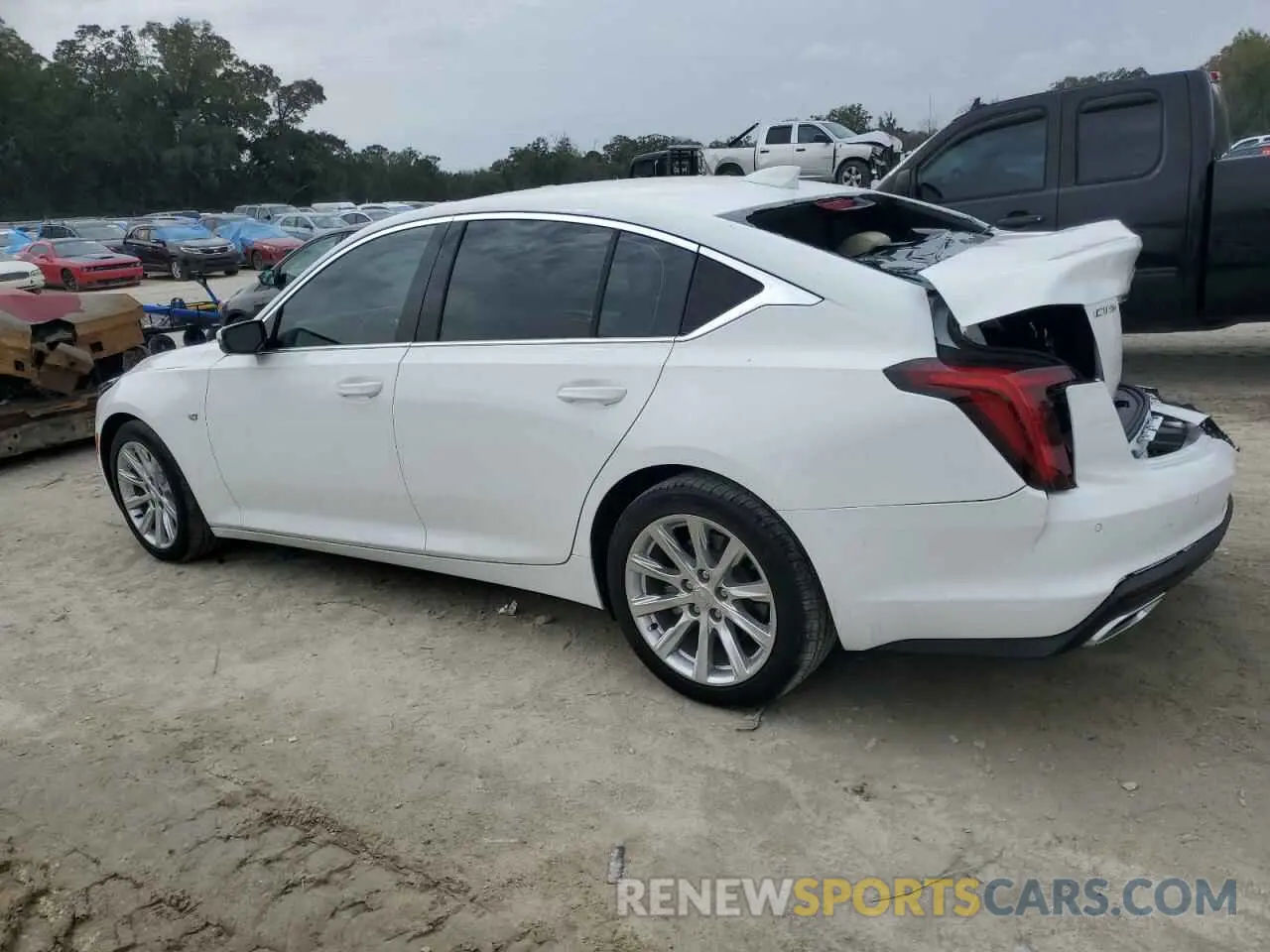 2 fotografías del automóvil dañado 1G6DM5RK5R0128676 CADILLAC CT5 2024