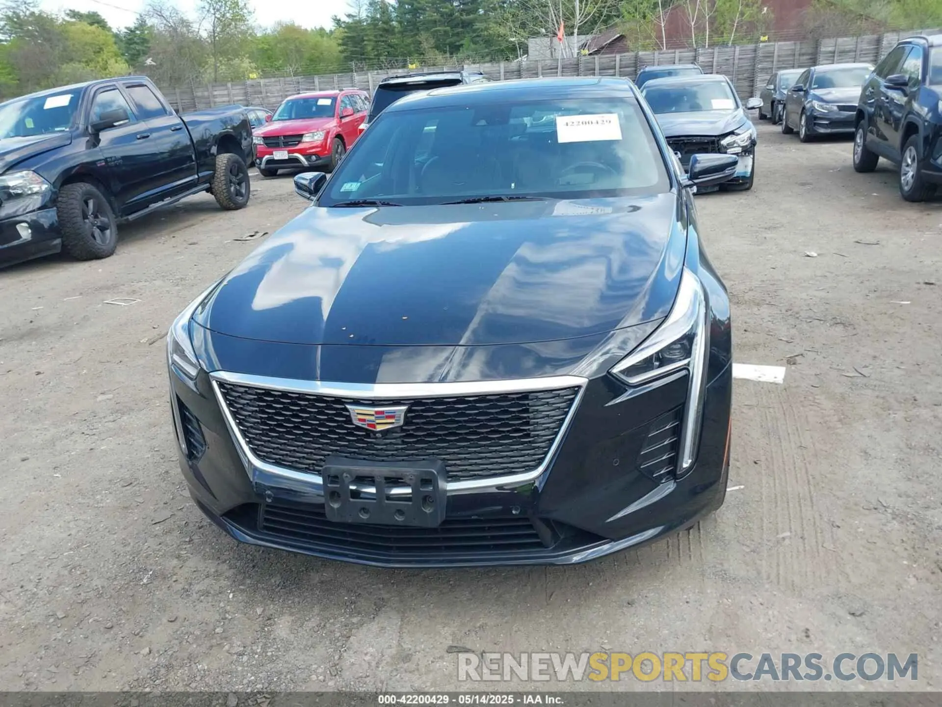12 fotografías del automóvil dañado 1G6KD5RS3KU123885 CADILLAC CT6 2019