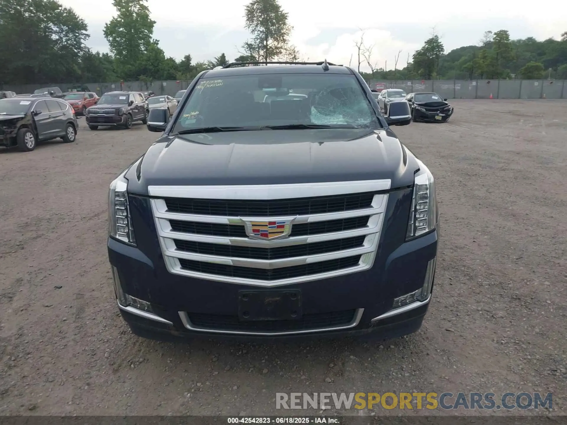 12 fotografías del automóvil dañado 1GYS4BKJ5KR232620 CADILLAC ESCALADE 2019