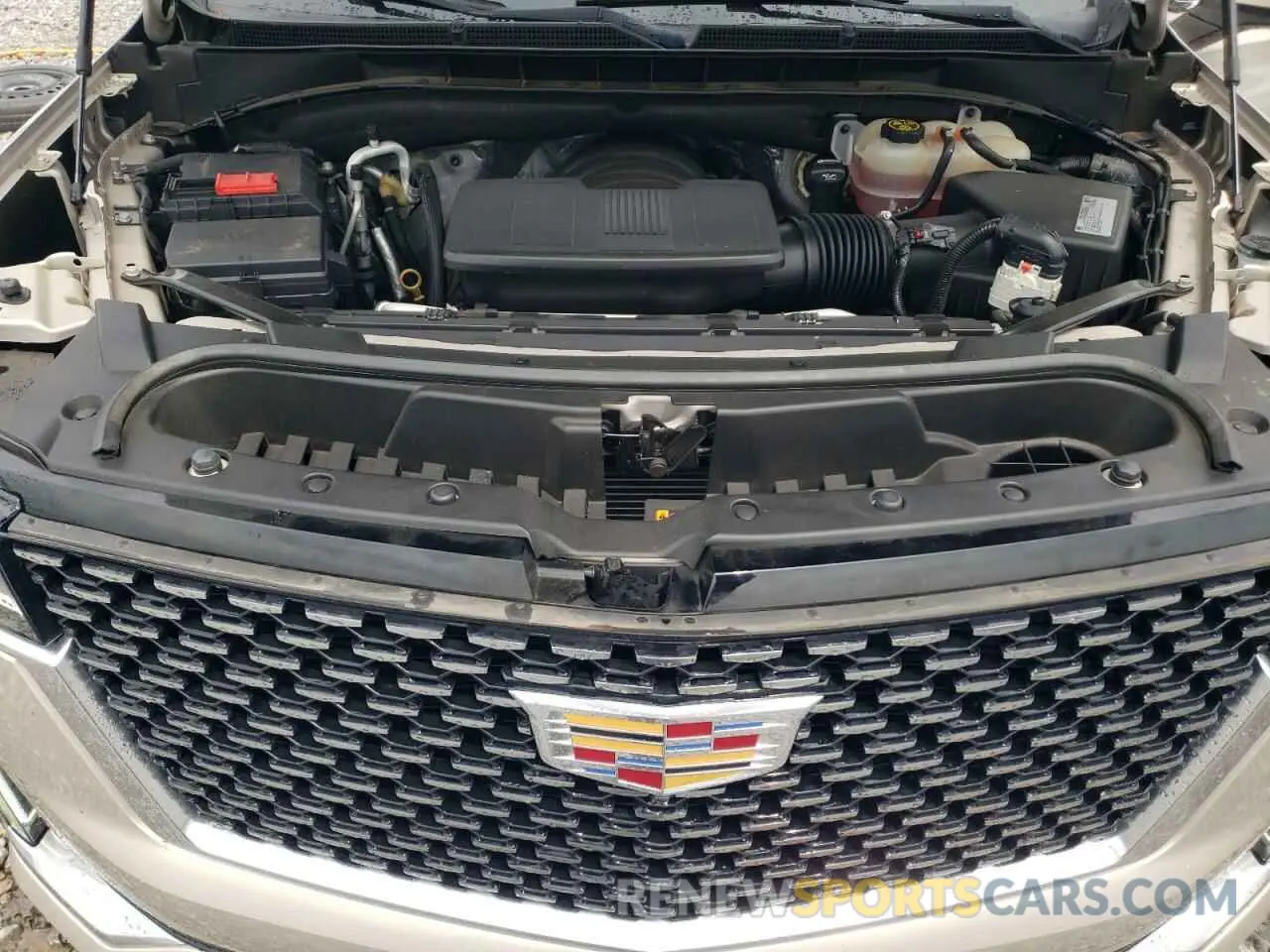 12 fotografías del automóvil dañado 1GYS3BKL1MR253813 CADILLAC ESCALADE 2021