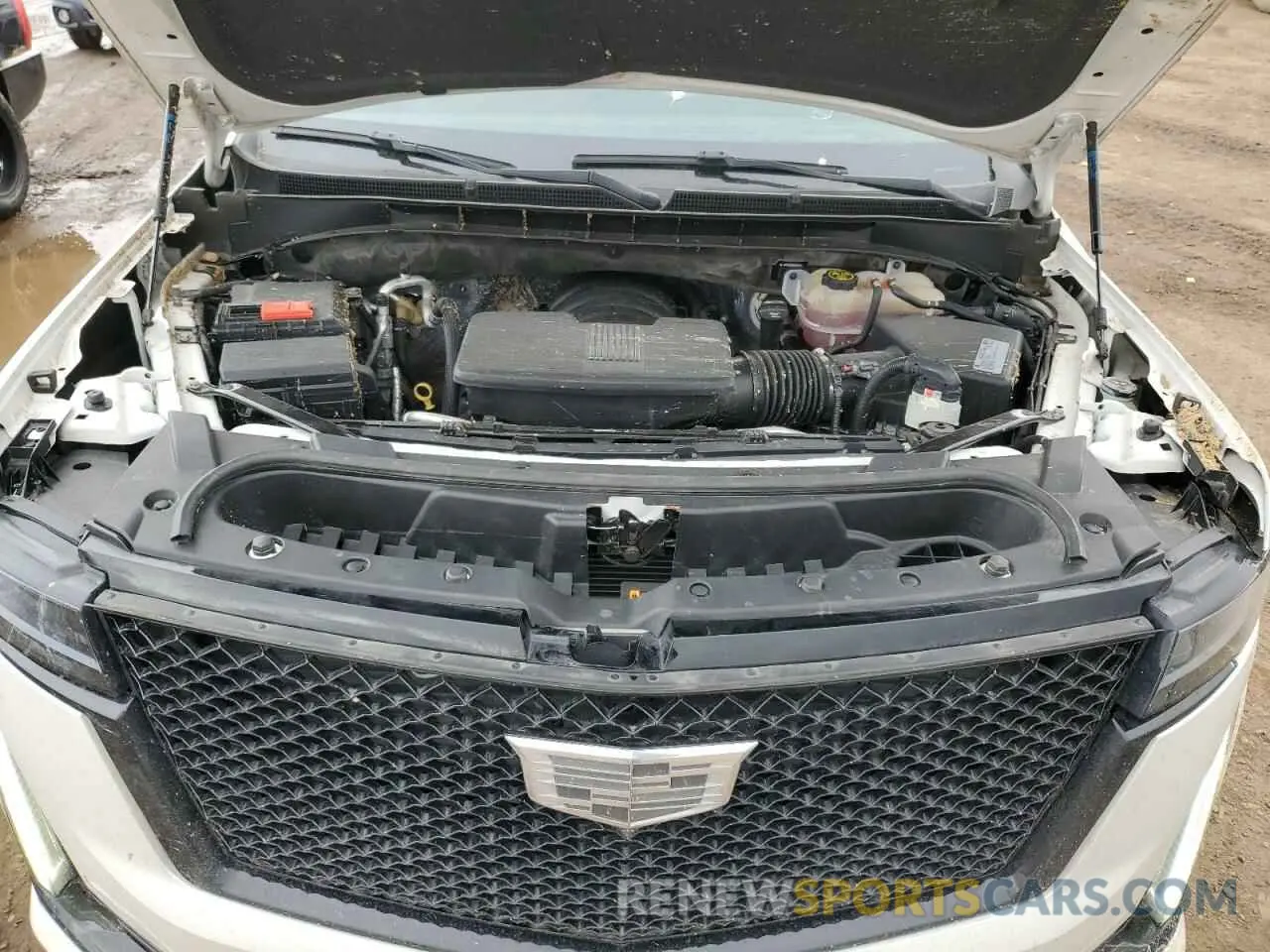 12 fotografías del automóvil dañado 1GYS4FKL7MR230847 CADILLAC ESCALADE 2021