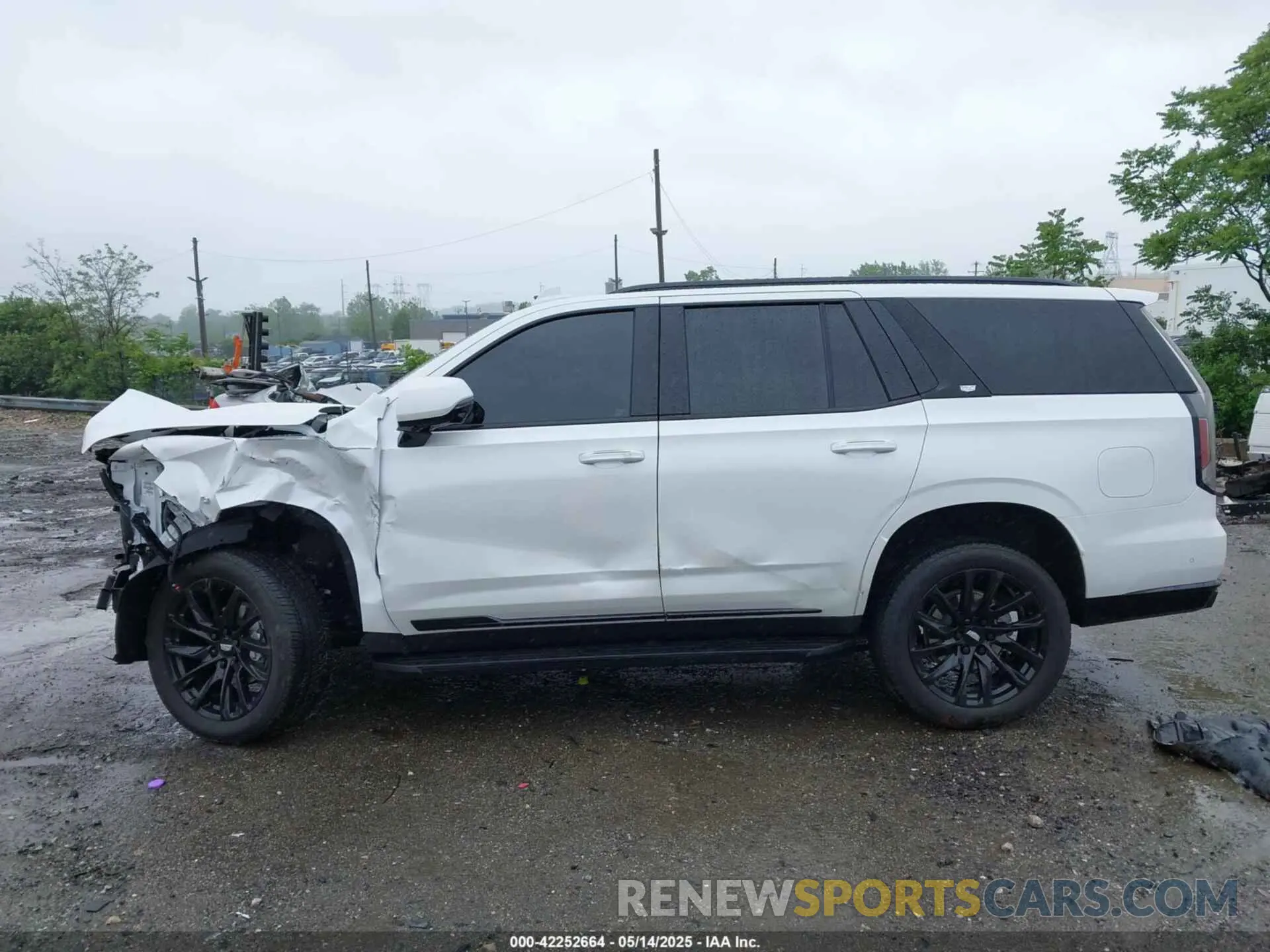14 fotografías del automóvil dañado 1GYS4EKL1RR351567 CADILLAC ESCALADE 2024